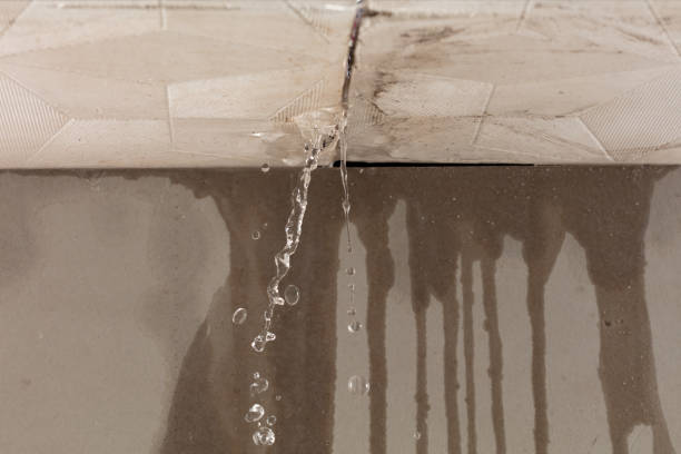 Professional Flood Damage Cleanup technician working in Rockland, WI